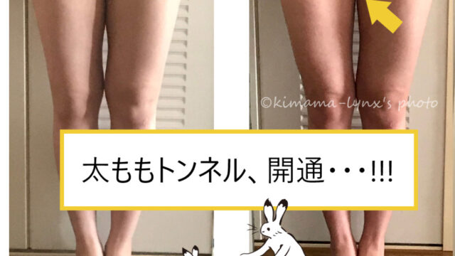 ビフォーアフター 縄跳び キックボクシング スクワットダイエット 女性 1か月目 気まま じゃじゃ馬 おひとり様